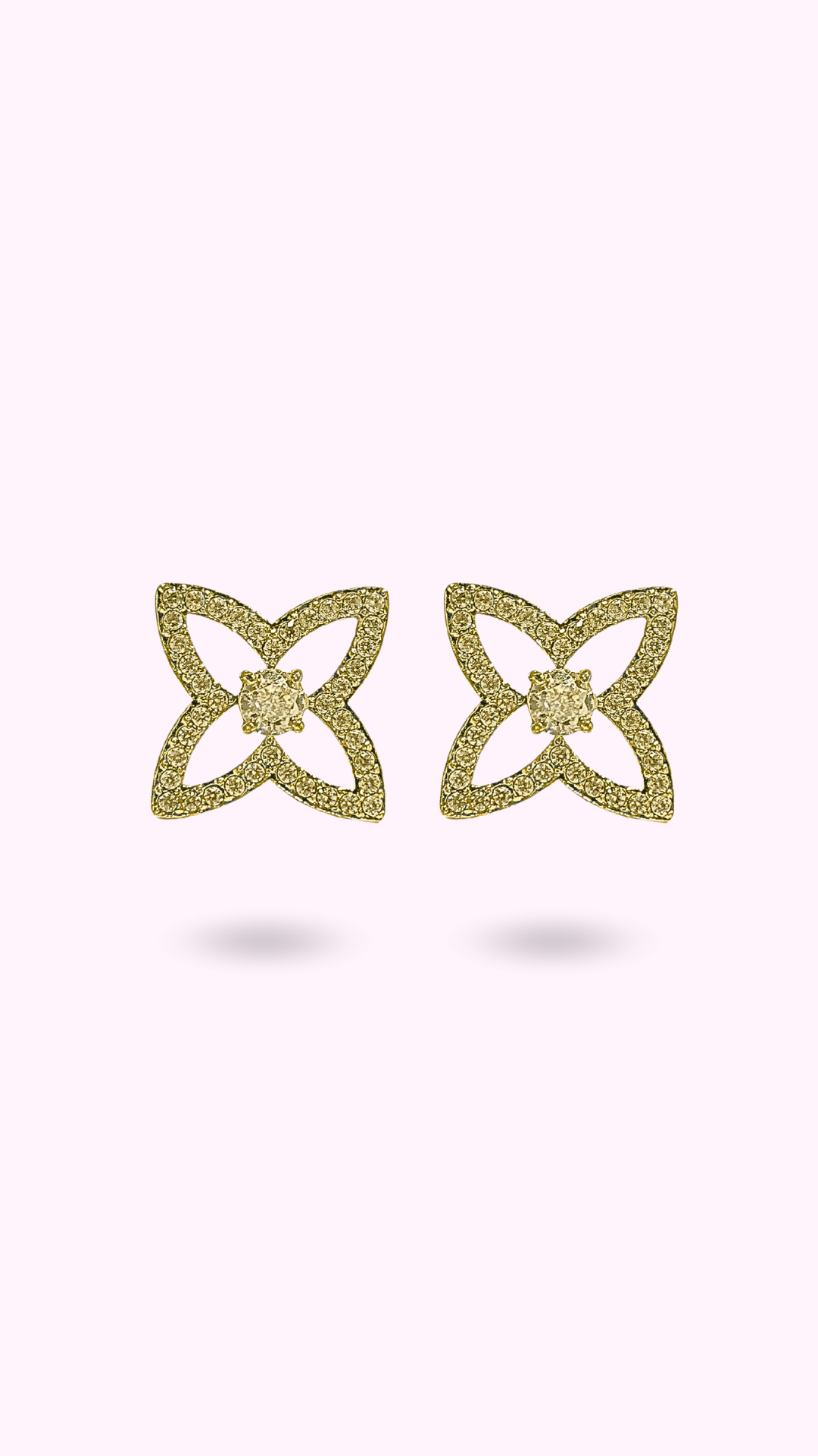 BOUCLES ALPINA